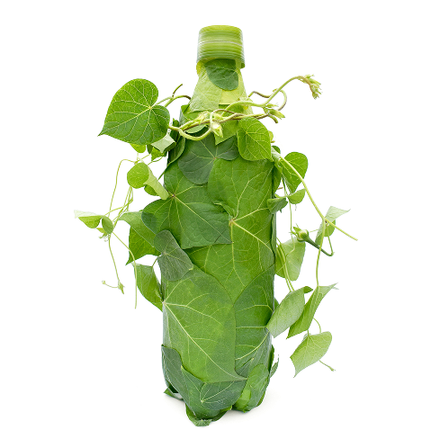 Additives for bioplastics